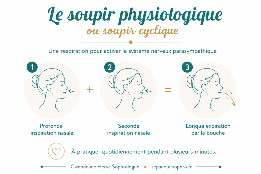 Illustration du soupir physiologique ou soupir cyclique, une technique respiratoire permettant d'activer le système nerveux parasympathique.